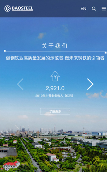 寶鋼(gang)股份網站案例圖片1