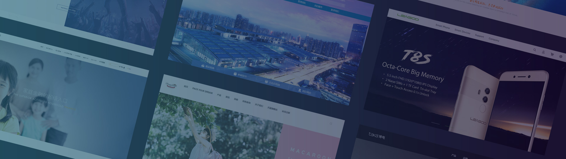 網站設(shè)計(ji)案例